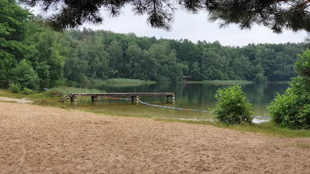 AreaSummer5KM AreaSummer5KM